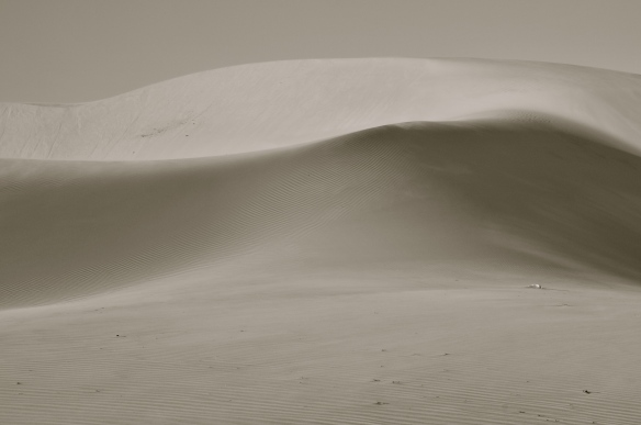 Divine dunes of Lencois